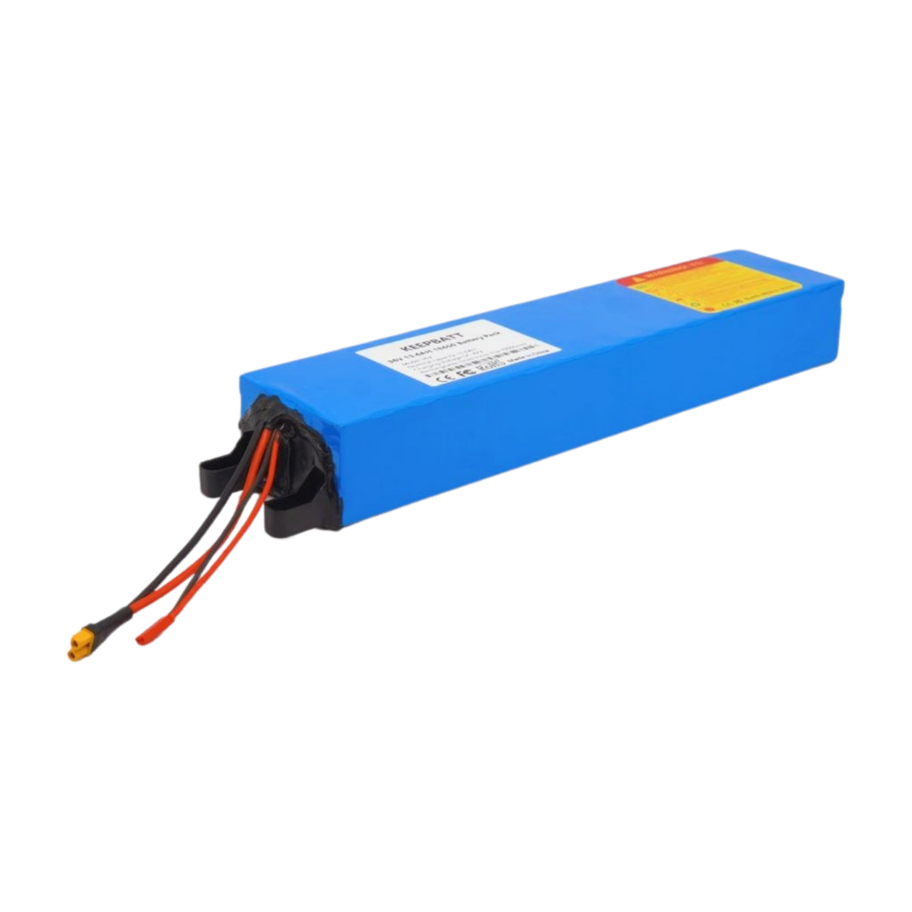 Batteria bici elettrica